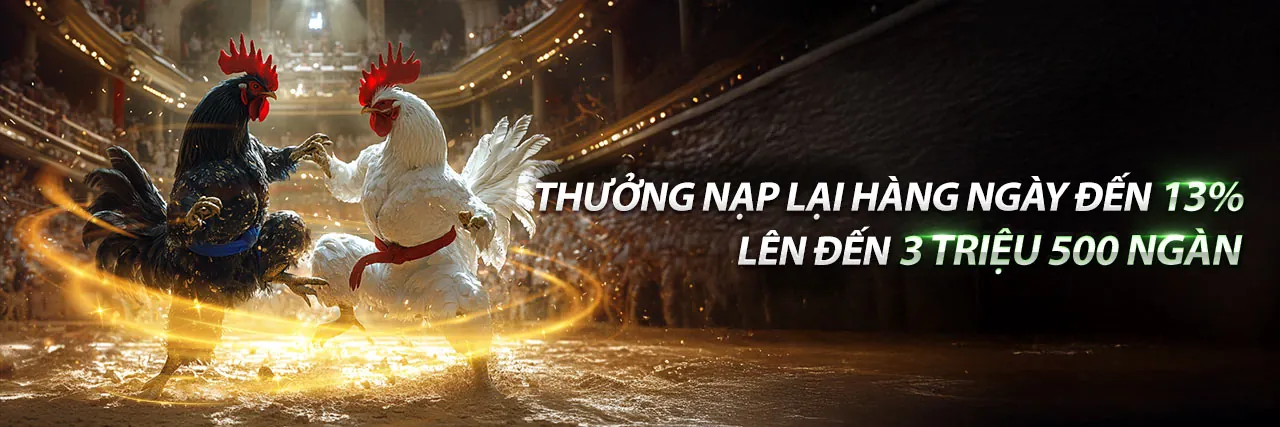 Đá gà trực tuyến acb888 thể thao